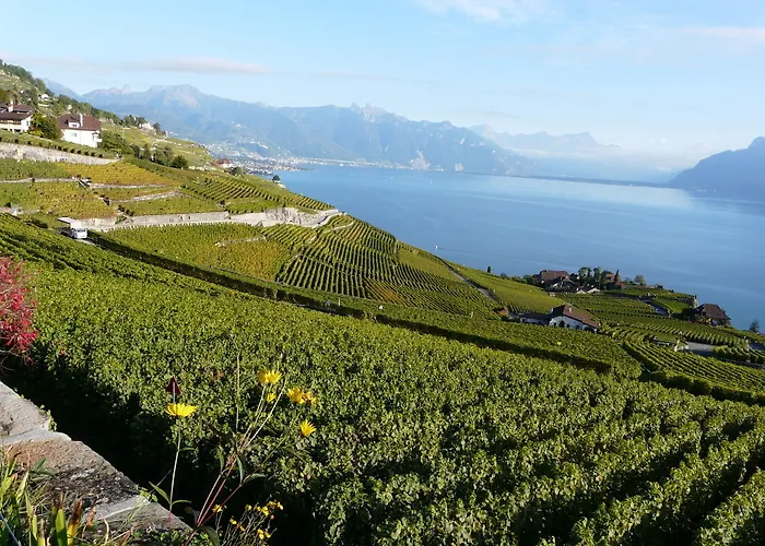 Beau-rivage Palace Lausanne