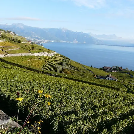 Beau-rivage Palace Lausanne
